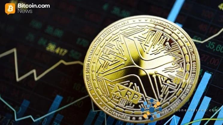Ripple 的独特优势：首席执行官揭示了 XRP 的主要区别