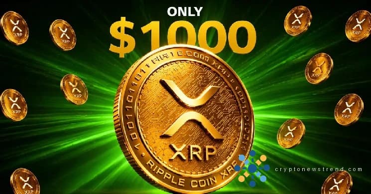 黑天鹅资本家在没有炒作的情况下解释了现实的 XRP 1000 美元价格目标