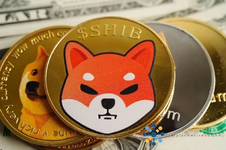 Rakuten belohnt 44 Millionen Nutzer mit SHIB für Hundefotos