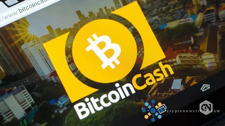 Der Bitcoin-Bargeldpreis liegt einen Monat vor dem Layla-Upgrade bei 485 US-Dollar