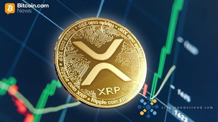 Investor Confidence Surges as XRP's Long-Term Potential Extends Far Beyond Its Creator