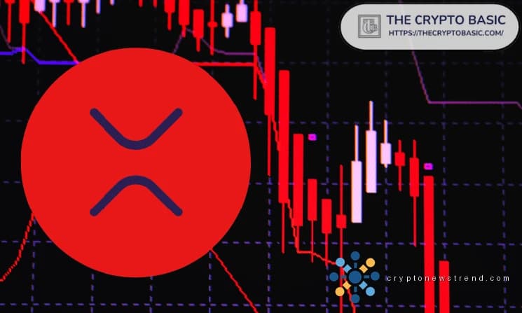 نظرية فخ الدب XRP: هل يمكن أن تكون هذه فرصة الشراء الأخيرة قبل الارتفاع العنيف؟