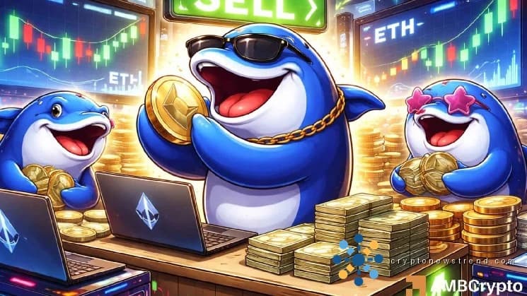 面对阿兹特克的退出，加密货币的中坚力量表现出了韧性，为潜在的上涨奠定了基础。