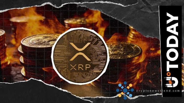 XRP видит беспрецедентное уничтожение токенов, что подогревает интерес рынка