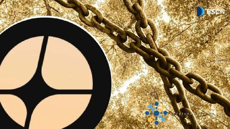 ما هي سلسلة Aster وكيف يخطط البروتوكول للتوسع خارج سلسلة BNB