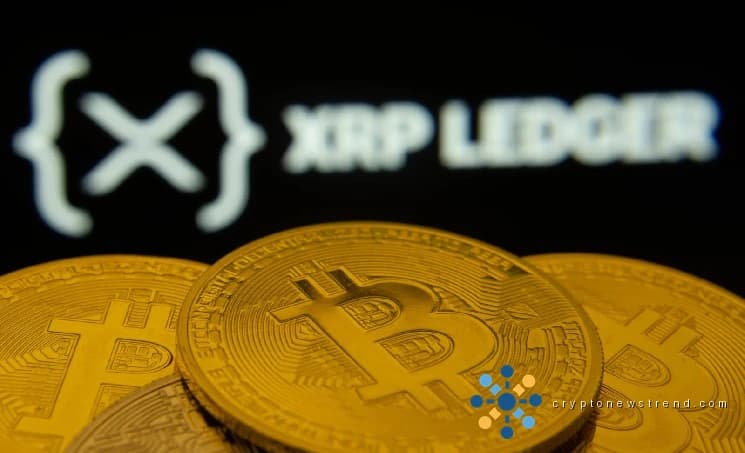 Der 700-Prozent-Prophet von XRP spricht: Was stimmt mit Krypto im Jahr 2026 nicht?
