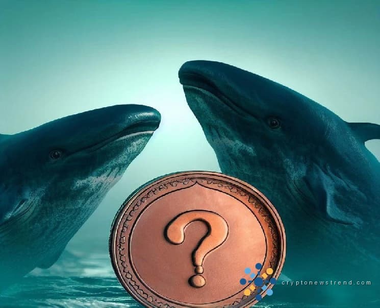 Ein Wal wartete geduldig und fand den Gipfel! Aus 575 $ wurden 1,7 Millionen $! Hier ist der Altcoin, den er gekauft hat!