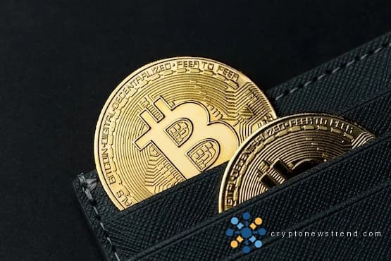比特币日交易量创 17 个月新高