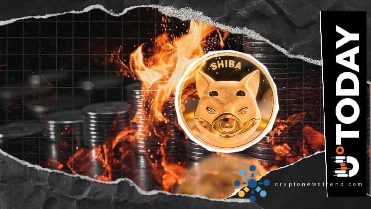 Der massive Zustrom von SHIB-Zerstörung löst einen deutlichen Aufwärtstrend beim Token-Wert aus