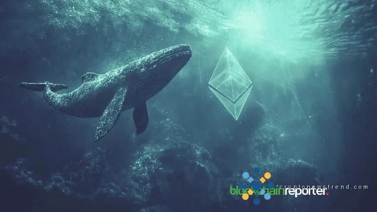 Les investisseurs détenant des participations massives dans Ethereum s’emparent d’énormes quantités de crypto-monnaie, totalisant plus de 322 millions de dollars, alors que l’optimisme balaie le marché des actifs numériques.