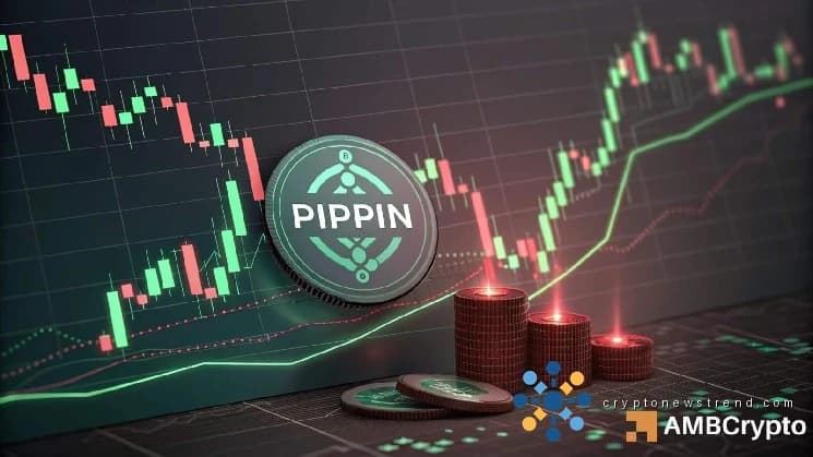 Le rebond de 8 % et la hausse des volumes de PIPPIN peuvent-ils soutenir ses efforts de redressement ?