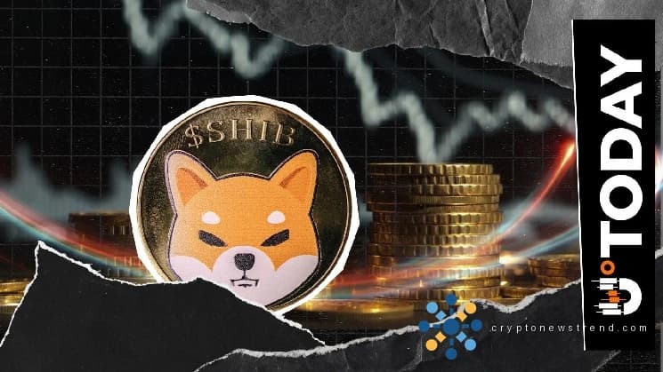 La vraie force tient : le message de Shiba Inu ravive l'héritage de Ryoshi