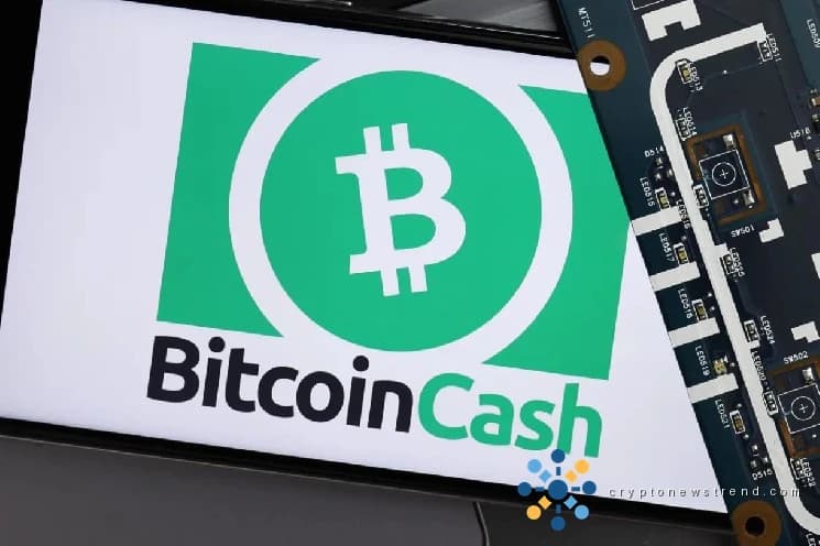 Choque de liquidación de BCH: dónde se están posicionando los comerciantes inteligentes a continuación