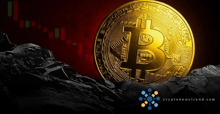 من الذي يكسب المال فعليًا بالبيتكوين الآن؟ بيانات STH مقابل LTH
