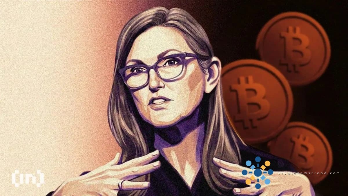 Cathie Wood 表示最大的 IPO 机会发生在公司上市之前