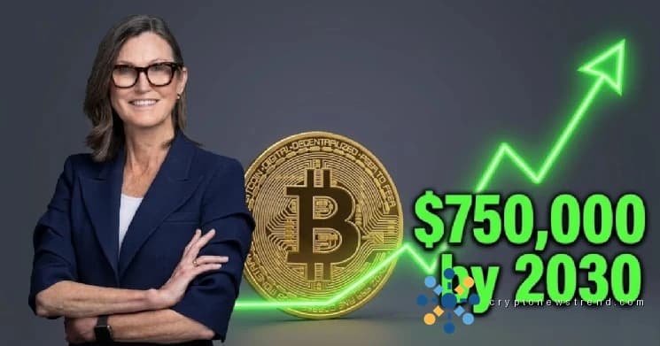 يؤكد قطب الاستثمار من جديد موقفه الصعودي، ويتوقع أن ترتفع قيمة عملاق العملات المشفرة إلى ثلاثة أرباع مليون دولار خلال العقد.