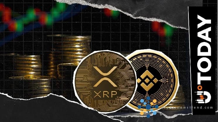 BNB تتقدم بشكل جيد قبل القيمة السوقية لـ XRP
