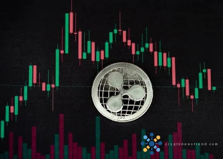 XRP’s Next Move Could Blow Past $5 After a Full Stoch RSI Reset