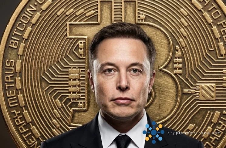 Инсайдерская информация: раскрыты тайники биткойнов SpaceX, криптоактивы Маска подсчитаны в последнем раскрытии
