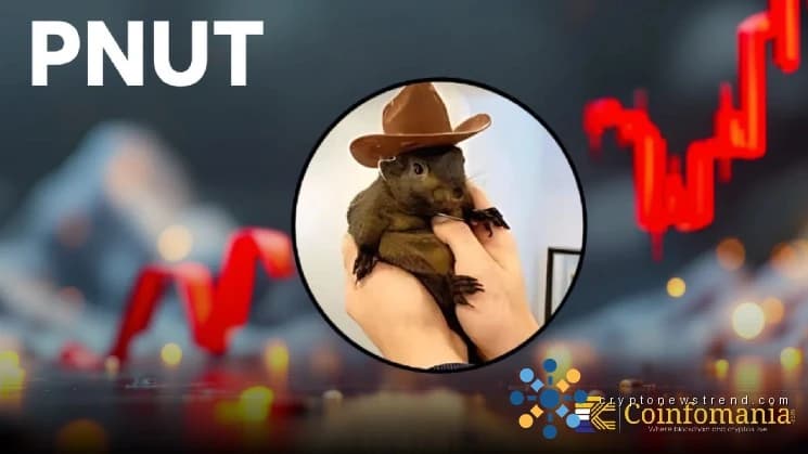 Pourquoi les traders de crypto-monnaie surveillent-ils le mouvement de PNUT BELKA ?