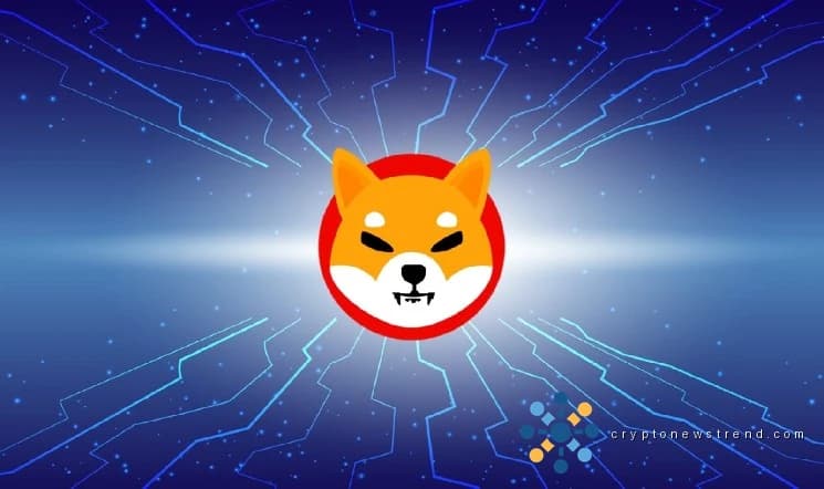 Bullen dominieren die Nettozuflüsse, da sich 50 Mrd. SHIB innerhalb von 24 Stunden bewegt