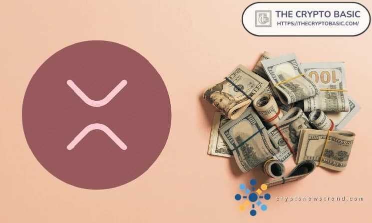 لا تبيع عملة XRP، لأنها يمكن أن تحمي من التدهور المالي: مؤسس شركة Black Swan Capitalist