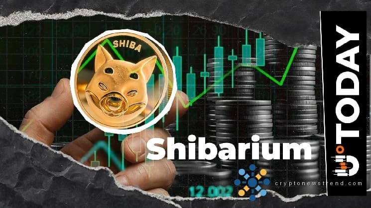 Shibarium 活动增加 44% 未能激发 Meme 币的价格动能