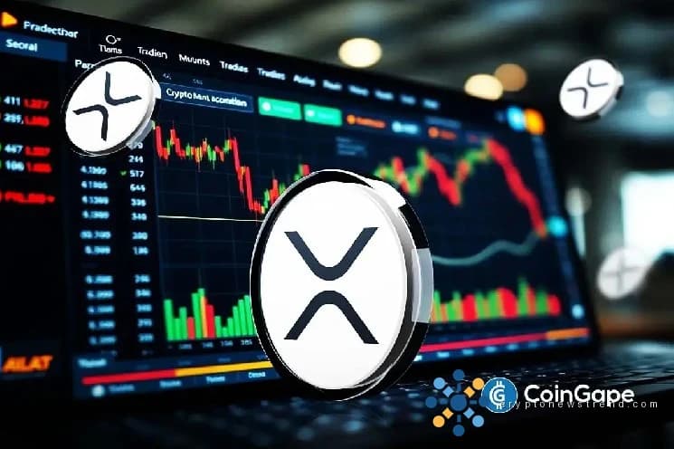 XRP Whale Activity Slows, Here’s What Options Data Signals