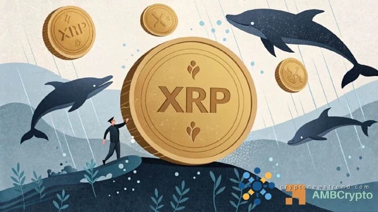 Les baleines XRP déplacent 1,10 milliard de jetons – 1,50 $ bloquera-t-il une autre cassure ?