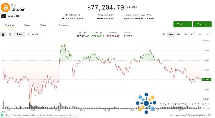 سرفہرست ڈیجیٹل کرنسیوں کی مستحکم قیمتوں کے درمیان Altcoin تجارتی سرگرمی میں اضافہ