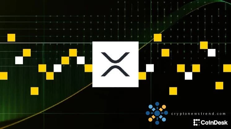قد تهدأ خسائر DeFi الفادحة قريبًا عندما يكشف XRP Ledger عن حل مبتكر لمكافحة عمليات الاستغلال المكلفة.