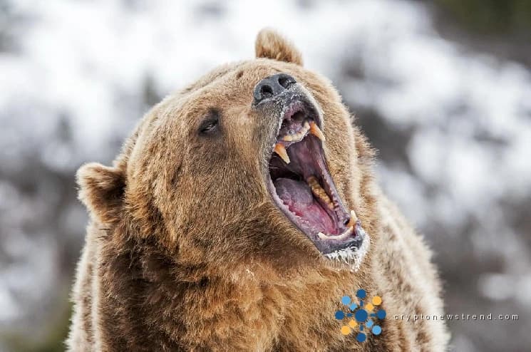 La chute du Bitcoin à 78 000 $ pourrait être un piège à ours – voici pourquoi