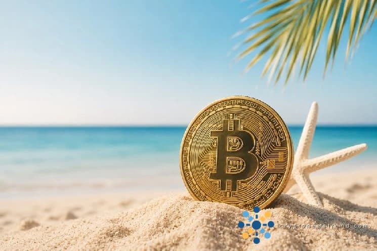 ایک تیز کرپٹو اضافے کو جاری کرنا: اندرونیوں نے Bitcoin کے موسمی بحالی کے لئے اہم اتپریرک کو ظاہر کیا
