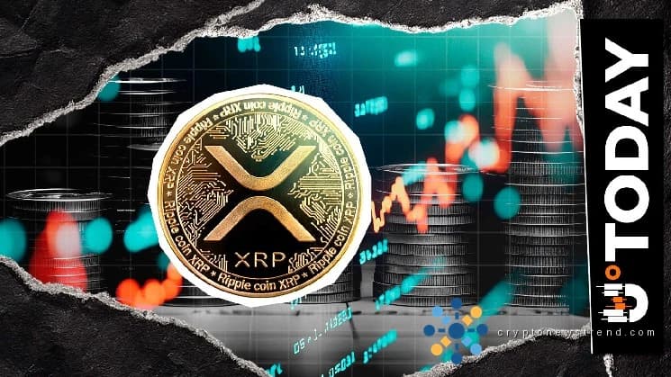 尽管出现价格回升信号,XRP 销毁率仍下降 35%