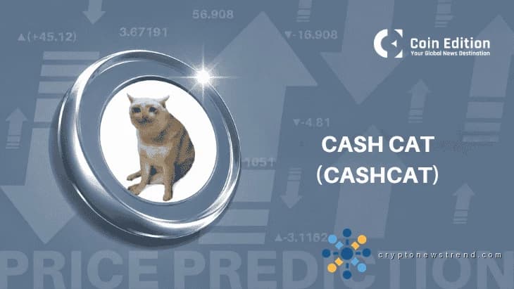 کیش کیٹ 355% OI اسپائک: نئی ریلی یا چوٹی؟