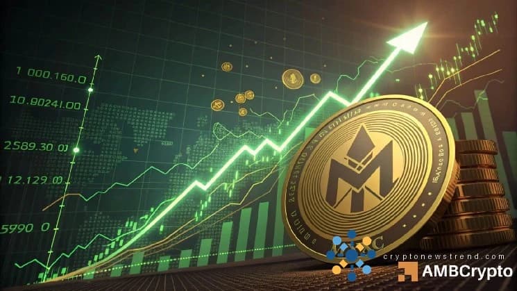 ركود دام 3 أشهر ينتهي بـ MYX، مرتفعًا بنسبة 12% - هل هذه بداية ارتفاع أكبر؟