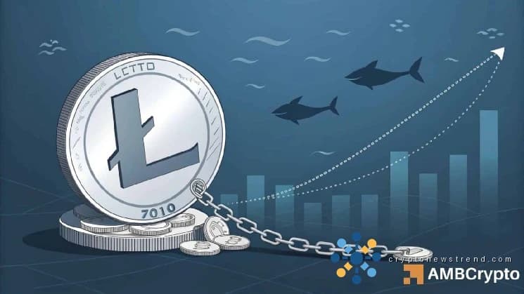 Litecoin récupère après l'attaque – L'évasion du fanion de LTC suivra-t-elle ?