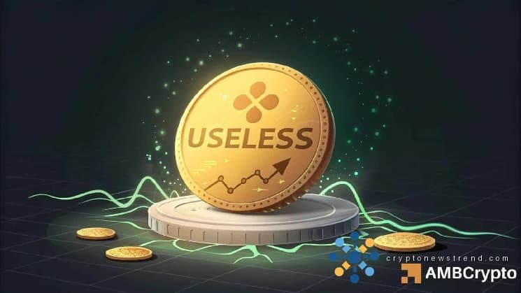 Les traders devraient-ils s'attendre à ce que USESSESS rebondisse maintenant après une augmentation du volume et de l'intérêt ouvert ?