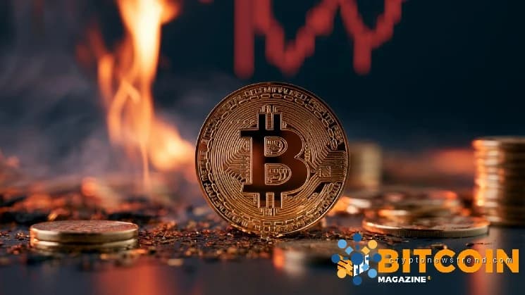 Le prix du Bitcoin chute de 5,5% en 5 jours pour tomber en dessous de 73 000 alors que les sorties d'ETF au comptant s'accélèrent