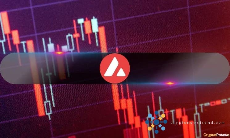 الانهيار الجليدي متخلف؟ ضجة على وسائل التواصل الاجتماعي حول تباطؤ AVAX