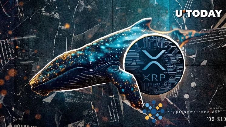 Wale überschwemmen den Markt mit massiven XRP-Käufen