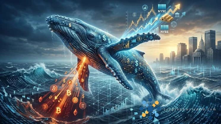 Whale Bets $16M Against Bitcoin and Ether While Doubling Down on TradFi via Hyperliquid