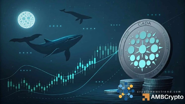 Cardano’s long-term structure is changing – How whales played a part