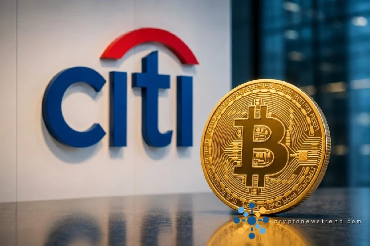 Wall Street Giant Sounds Alarm on Volatile Cryptocurrency Market