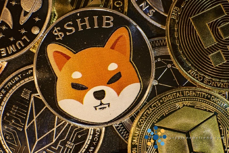 429 Billion Shiba Inu (SHIB) in 24 Hours: Volumes Flip Substantially