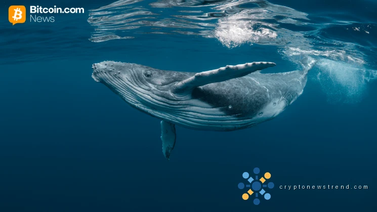 2013 Bitcoin Whale Wallet Transfers 500 BTC After 12 Years of Dormancy