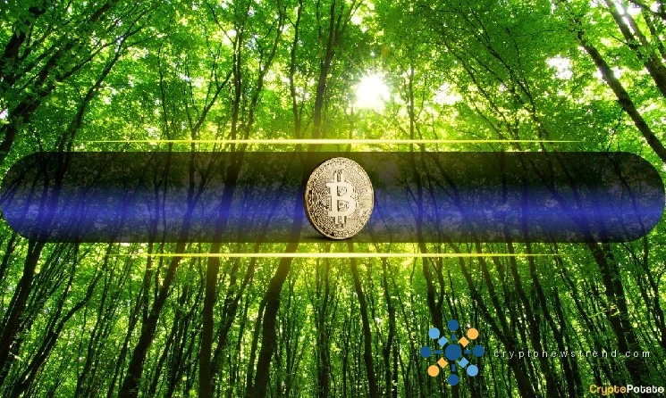 Cryptocurrency Giant Surpasses Eight-Figure Milestone in Historic February Surge