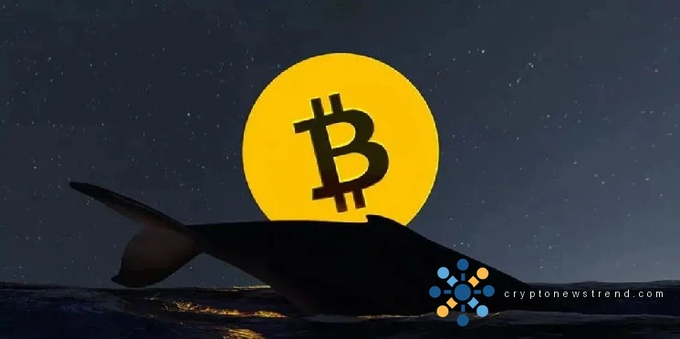 Investment Landscape Shifts as Low-Volume Traders Capitalize on Market Swings, Leaving Analysts Wondering About the Cryptocurrency's Future Trajectory