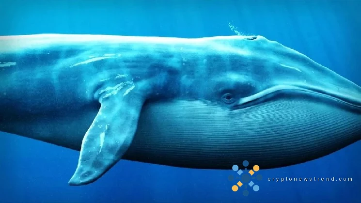 Speculation Arises That Institutional Whales May Have Manipulated the Price of an Altcoin