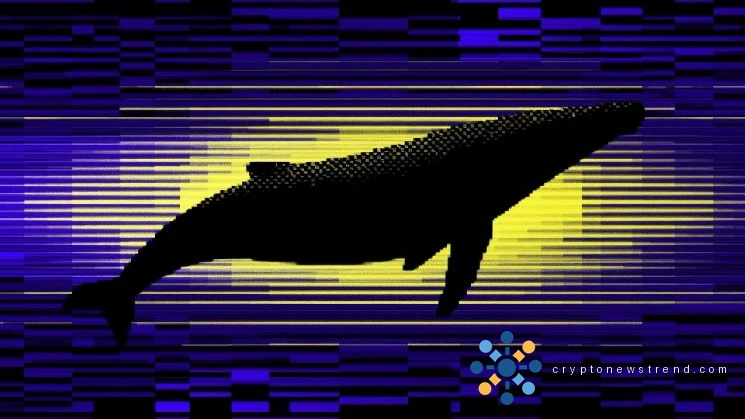 Large investors dominate Cardano's market, controlling nearly two-thirds of available tokens for the first time in three years.